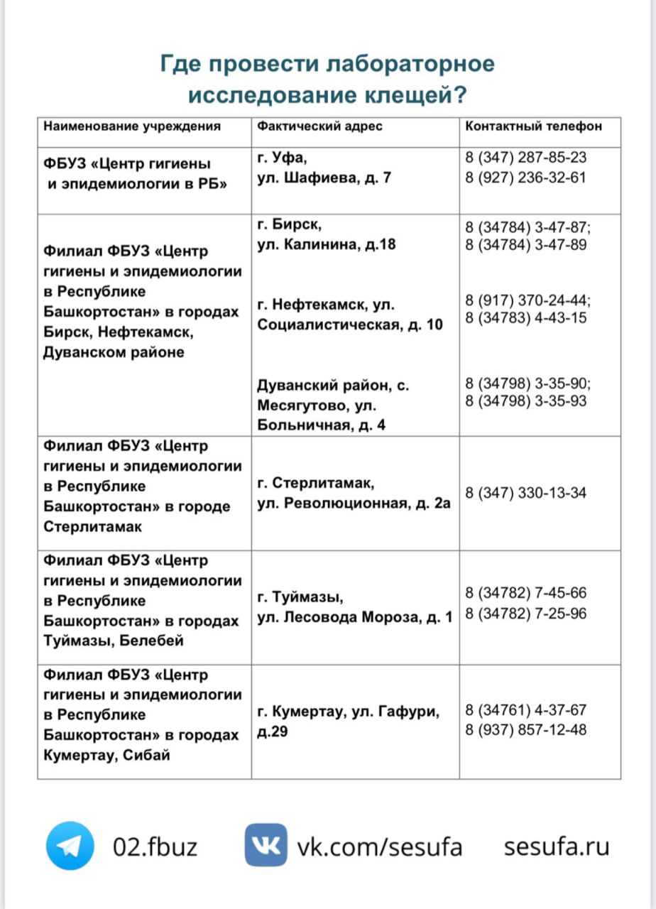 Где провести лабораторное иследование клещей?